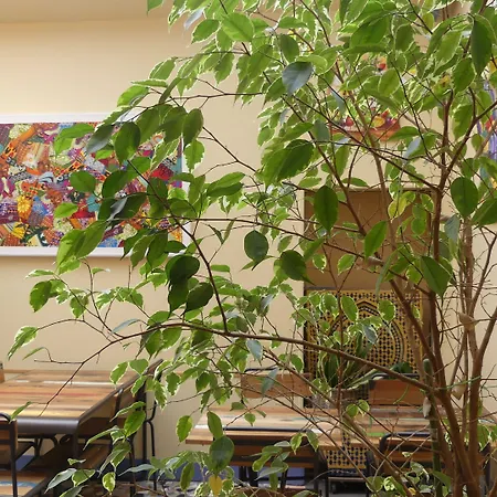 Les Pins - Oléron 3*